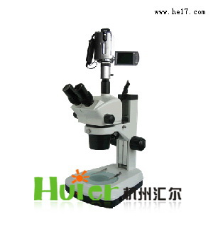 连续变倍体视显微镜-XTL-BM-8B