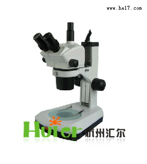 连续变倍体视显微镜-XTL-BM-8T