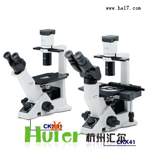 临床级倒置显微镜-CKX31/CKX41