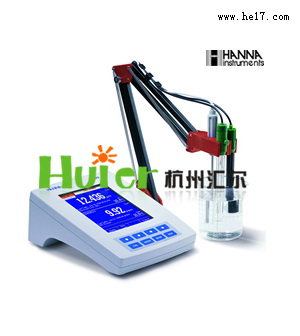 超大彩屏高精度双通道酸度测定仪（pH/ORP/ISE/温度）-HI4222W